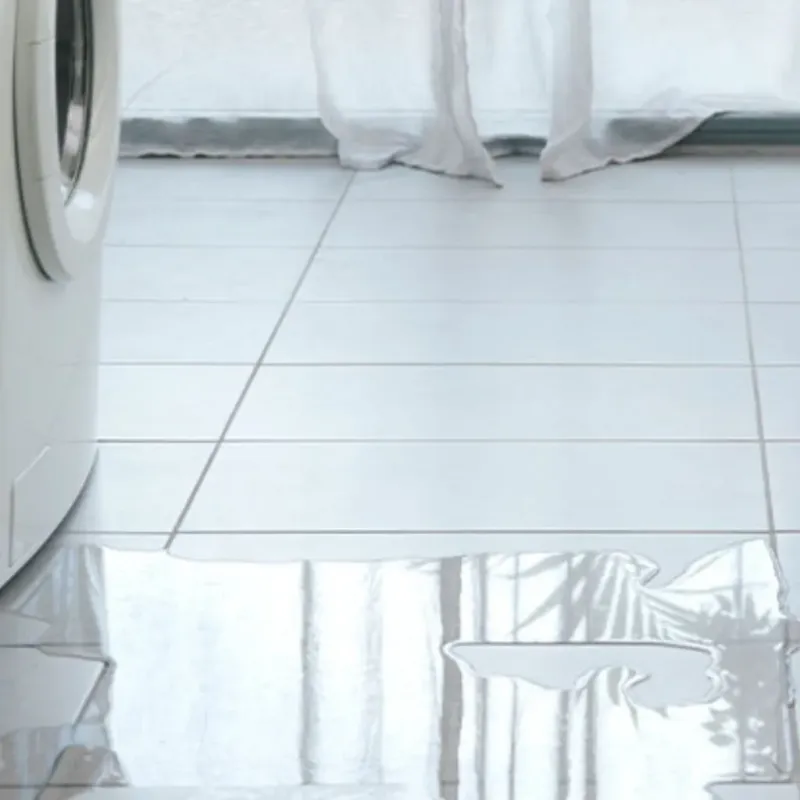 Appliance Leak Cleanup in Morocco, IN