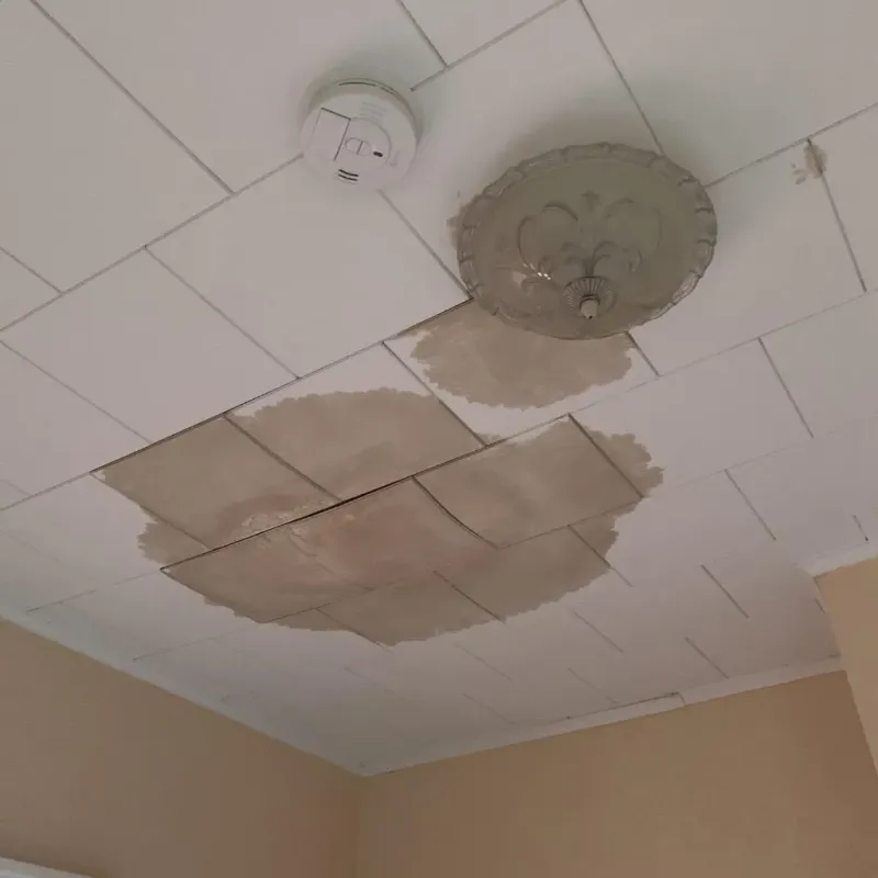 Ceiling Water Damage Repair in Morocco, IN