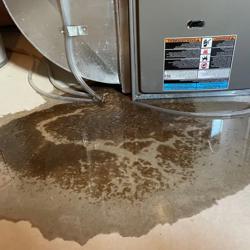 Pipe Burst and Leak Restoration in Morocco, IN
